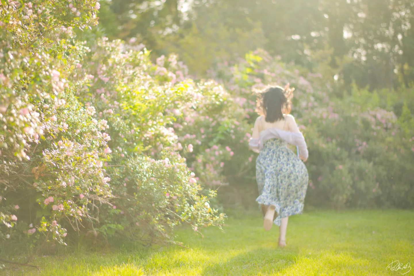 皮皮奶 - 蔷薇花 [37P-269MB] tg@simisebaisi 【丝足阁】035.webp